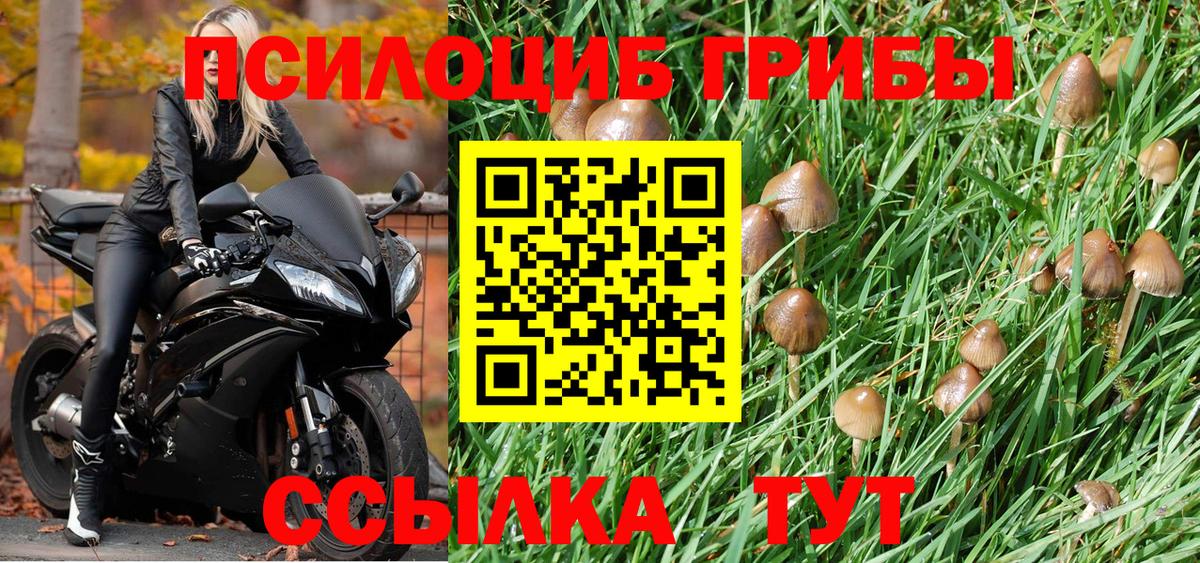 Людиново  Галлюциногенные грибы Magic Shrooms  Вход с VPN 